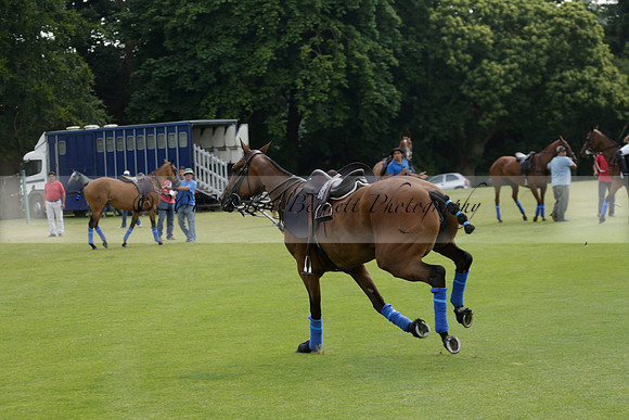 El Remanso v Sumaya in a Veuve Clicquot Gold Cup Polo Match 2013.07.13