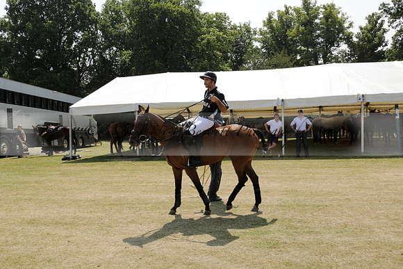Zacara v Talandracas in a Veuve Clicquot Gold Cup Polo Match 2013.07.18