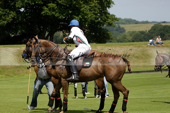 UAE Polo v El Remanso in a Veuve Clicquot Gold Cup Polo Match 2013.07.05