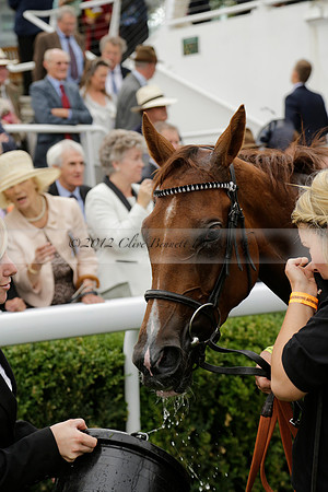 Race 6 Goodwood The British Stallion Studs Turf Club E.B.F. Fillies Stakes. 20130731. Race winner Ribbons owner Elite Racing Club