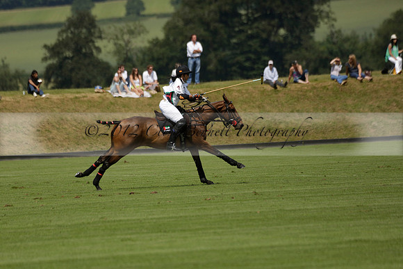 UAE Polo v El Remanso in a Veuve Clicquot Gold Cup Polo Match 2013.07.05
