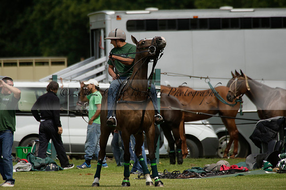 Dubai v La Bamba de Areco in a Veuve Clicquot Gold Cup Polo Match 2013.07.04