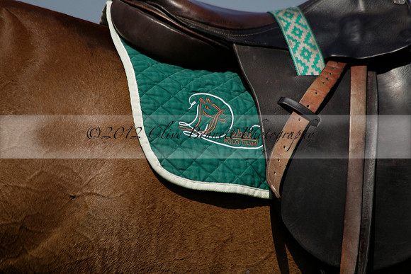 Enigma v Dubai in a Veuve Clicquot Gold Cup Polo Match 2013.07.08