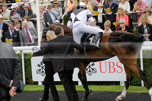 Race 6 Goodwood The British Stallion Studs Turf Club E.B.F. Fillies Stakes. 20130731. Race winner Ribbons owner Elite Racing Club
