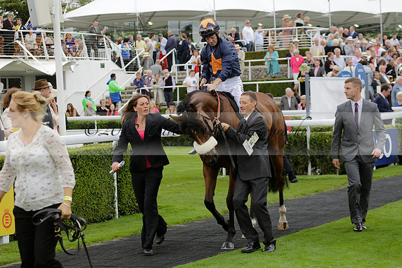 Race 6 Goodwood The British Stallion Studs Turf Club E.B.F. Fillies Stakes. 20130731. Race winner Ribbons owner Elite Racing Club