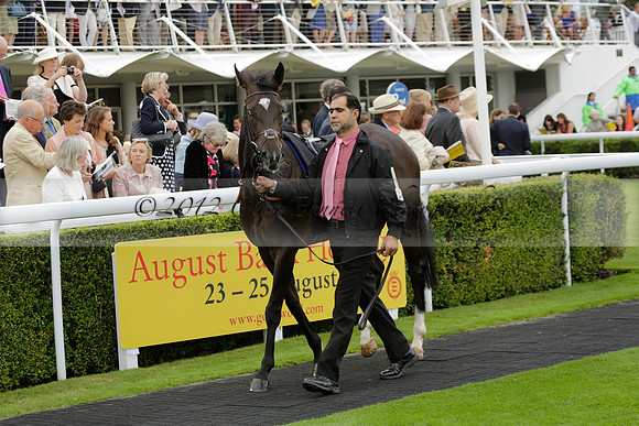 Race 6 Goodwood The British Stallion Studs Turf Club E.B.F. Fillies Stakes. 20130731. Race winner Ribbons owner Elite Racing Club