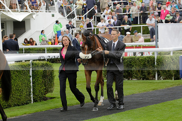 Race 6 Goodwood The British Stallion Studs Turf Club E.B.F. Fillies Stakes. 20130731. Race winner Ribbons owner Elite Racing Club