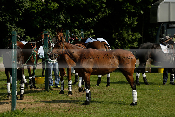 Lost Boys Cowdray Vikings in the Jaeger Le Coultre Duke of Sutherland Cup Subsidiary Final Polo match 2013.06.06