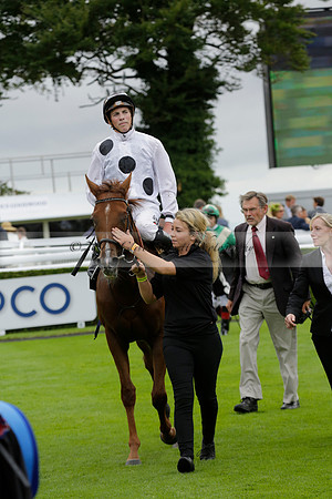 Race 6 Goodwood The British Stallion Studs Turf Club E.B.F. Fillies Stakes. 20130731. Race winner Ribbons owner Elite Racing Club