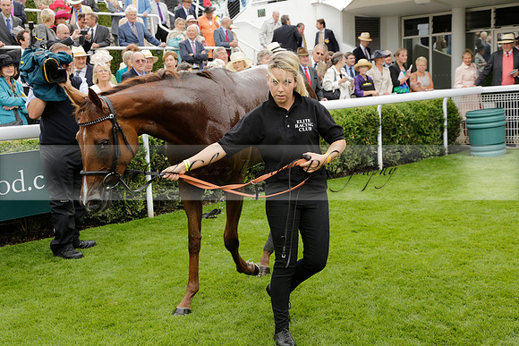 Race 6 Goodwood The British Stallion Studs Turf Club E.B.F. Fillies Stakes. 20130731. Race winner Ribbons owner Elite Racing Club