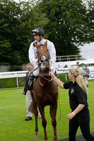 Race 6 Goodwood The British Stallion Studs Turf Club E.B.F. Fillies Stakes. 20130731. Race winner Ribbons owner Elite Racing Club
