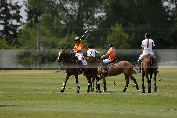 Cowdray Vikings v Enigma in a Bloom British Ladies Open Championship Polo match 2013.07.17