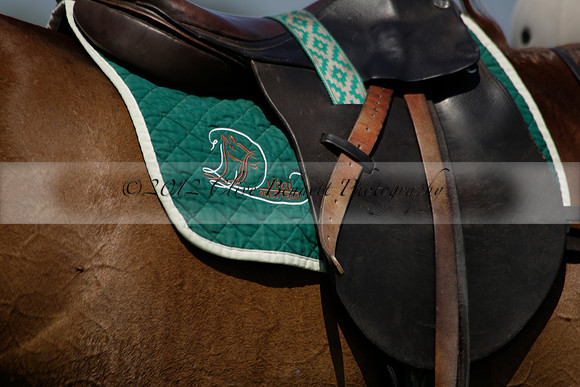 Enigma v Dubai in a Veuve Clicquot Gold Cup Polo Match 2013.07.08