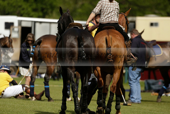 Las Estrellas v Four Quarters Blue in the final of the Jubilee Cup Polo match 2013.06.02