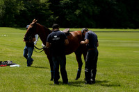 Twelve Oaks v HB Polo in a Veuve Clicquot Gold Cup Polo Match 2013.06.30