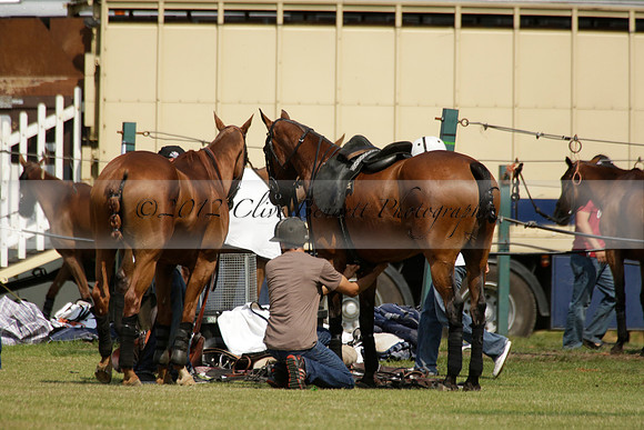 Zacara v Les Lions in a Veuve Clicquot Gold Cup Polo Match 2013.07.06