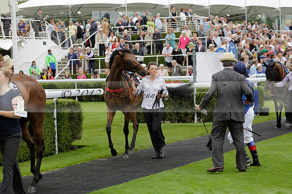 Race 6 Goodwood The British Stallion Studs Turf Club E.B.F. Fillies Stakes. 20130731. Race winner Ribbons owner Elite Racing Club