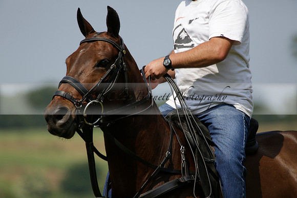 Zacara v Les Lions in a Veuve Clicquot Gold Cup Polo Match 2013.07.06