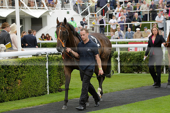 Race 6 Goodwood The British Stallion Studs Turf Club E.B.F. Fillies Stakes. 20130731. Race winner Ribbons owner Elite Racing Club