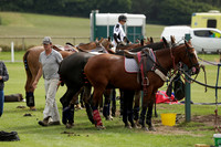 Beau Design v Boscom in an August Rother Cup 4 goal polo match at Cowdray Park Polo Club on Wednesday 07 August 2013