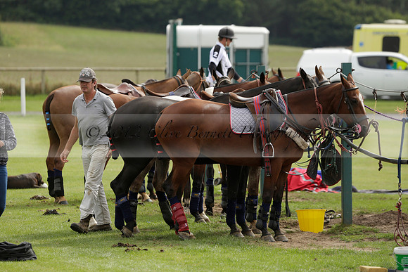 Beau Design v Boscom in an August Rother Cup 4 goal polo match at Cowdray Park Polo Club on Wednesday 07 August 2013