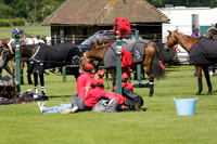 Enigma v La Bamba de Areco in a Veuve Clicquot Gold Cup Polo Match 2013.06.29
