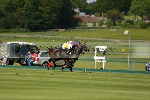 Las Estrellas v Four Quarters Blue in the final of the Jubilee Cup Polo match 2013.06.02