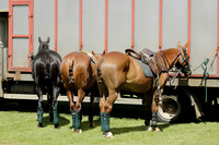HFS Milbourne Cup Final played at Hurtwood Polo Club on Friday 14 June 2013