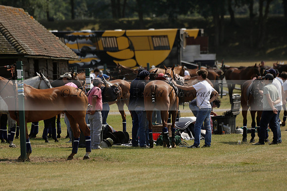 Cowdray Vikings v Enigma in a Bloom British Ladies Open Championship Polo match 2013.07.17