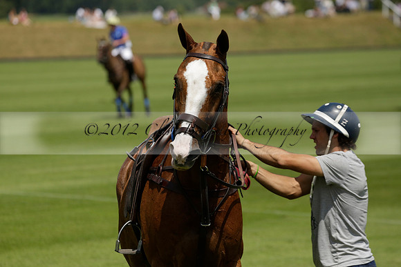 UAE Polo v El Remanso in a Veuve Clicquot Gold Cup Polo Match 2013.07.05