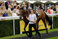 Race 6 Goodwood The British Stallion Studs Turf Club E.B.F. Fillies Stakes. 20130731. Race winner Ribbons owner Elite Racing Club