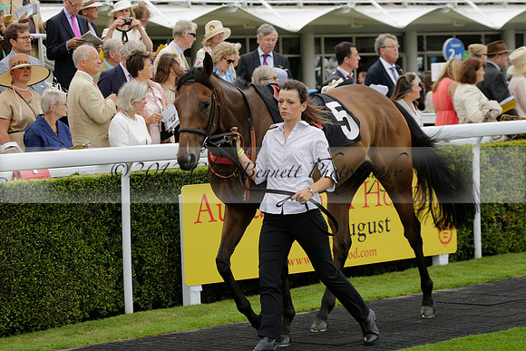 Race 6 Goodwood The British Stallion Studs Turf Club E.B.F. Fillies Stakes. 20130731. Race winner Ribbons owner Elite Racing Club