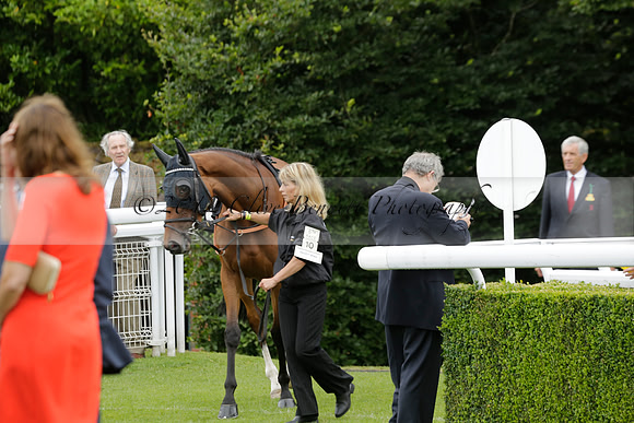 Race 6 Goodwood The British Stallion Studs Turf Club E.B.F. Fillies Stakes. 20130731. Race winner Ribbons owner Elite Racing Club