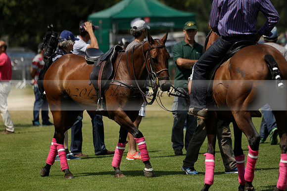 Zacara v Talandracas in a Veuve Clicquot Gold Cup Polo Match 2013.07.18