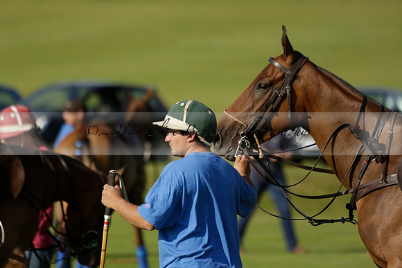El Remanso v Emlor in a Veuve Clicquot Gold Cup Polo Match 2013.06.30
