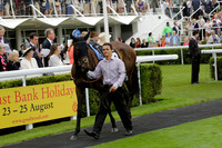 Race 6 Goodwood The British Stallion Studs Turf Club E.B.F. Fillies Stakes. 20130731. Race winner Ribbons owner Elite Racing Club