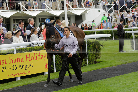 Race 6 Goodwood The British Stallion Studs Turf Club E.B.F. Fillies Stakes. 20130731. Race winner Ribbons owner Elite Racing Club