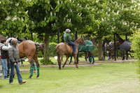 UAE Polo Team v Salkeld in a Queens Cup polo match 2013.05.23