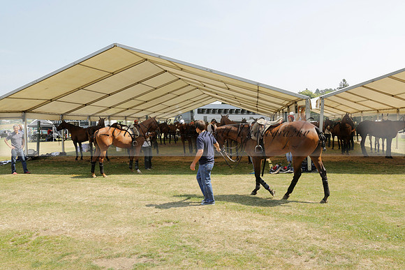 Zacara v Talandracas in a Veuve Clicquot Gold Cup Polo Match 2013.07.18