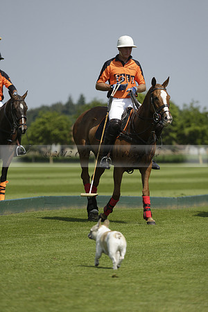 Four Quarters Orange v Montana in a Cicero Cup Polo match 2013.06.06