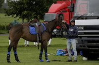 Banana Men v Gales in the Bryan Bethell Cup Final Polo match 2013.06.22