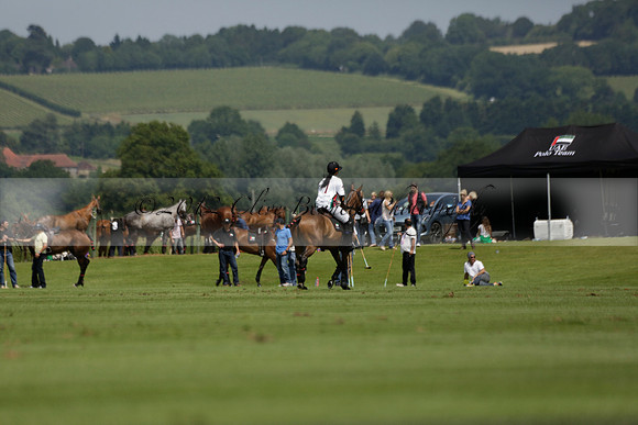 UAE Polo v El Remanso in a Veuve Clicquot Gold Cup Polo Match 2013.07.05