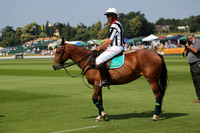 Zacara v Dubai in the Veuve Clicquot Gold Cup Polo Final Match 2013.07.21