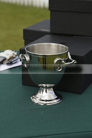 Las Estrellas v Four Quarters Blue in the final of the Jubilee Cup Polo match 2013.06.02