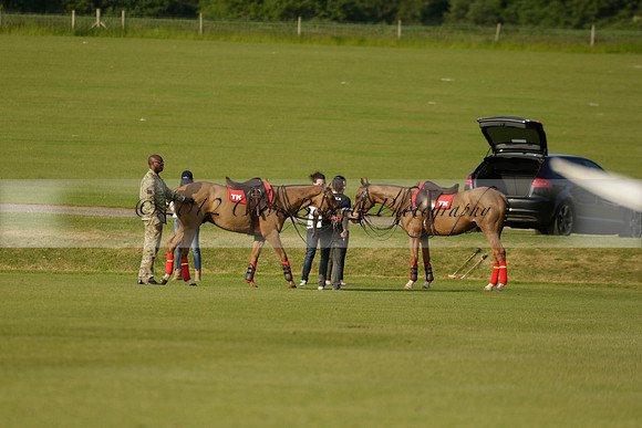 Shoreline v Cowdray Vikings in a Easebourne Cup Semi-final Polo match 2013.06.07