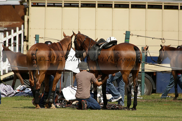 Zacara v Les Lions in a Veuve Clicquot Gold Cup Polo Match 2013.07.06