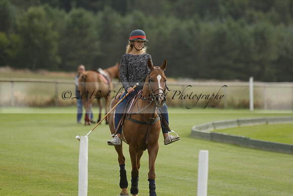 Beau Design v Boscom in an August Rother Cup 4 goal polo match at Cowdray Park Polo Club on Wednesday 07 August 2013