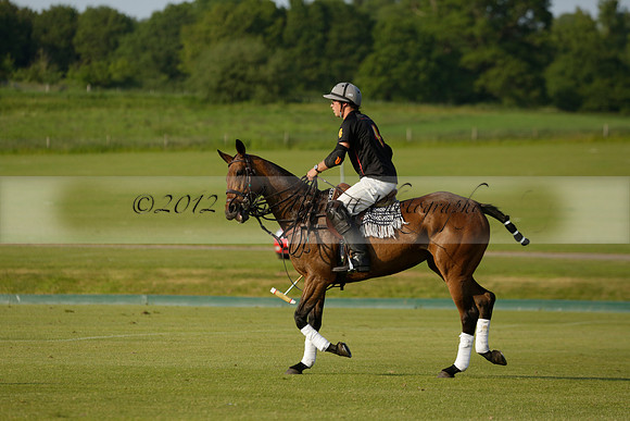 Shoreline v Cowdray Vikings in a Easebourne Cup Semi-final Polo match 2013.06.07