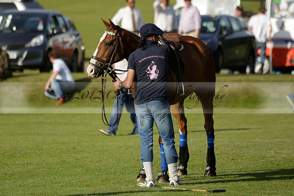 El Remanso v Emlor in a Veuve Clicquot Gold Cup Polo Match 2013.06.30