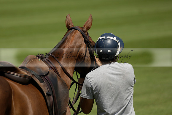 UAE Polo v El Remanso in a Veuve Clicquot Gold Cup Polo Match 2013.07.05